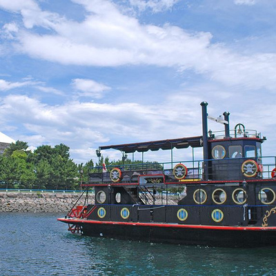 パラダイスクルーズ