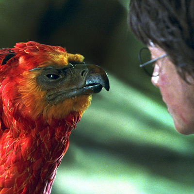 ハリポッターの鳥 USJハリポタ】魔法生物「ヒッポグリフ」が大きくてかっこいい