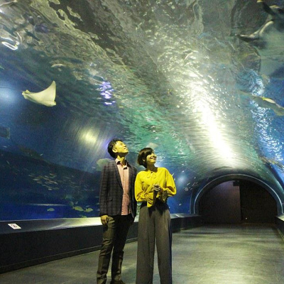 品川プリンスホテルのアクアパーク付きプラン