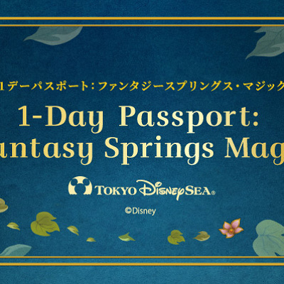 ファンタジースプリングス入場時の注意点