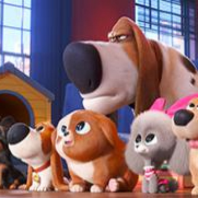 ポップス(一番大きい犬)