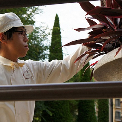 シーで人気のファン・カストーディアル