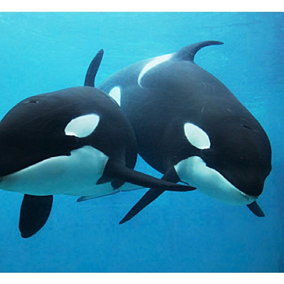 名古屋港水族館