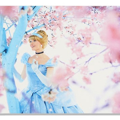 ポストカード（シンデレラ）