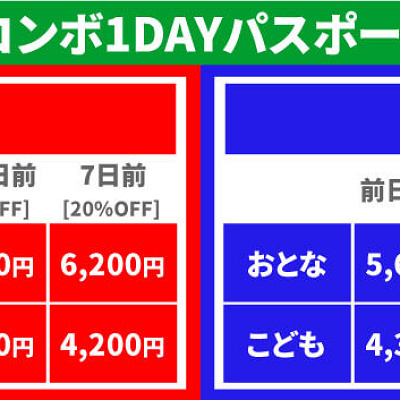 コンボ1DAYパスポートの料金