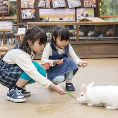 ピョンタッチ広場