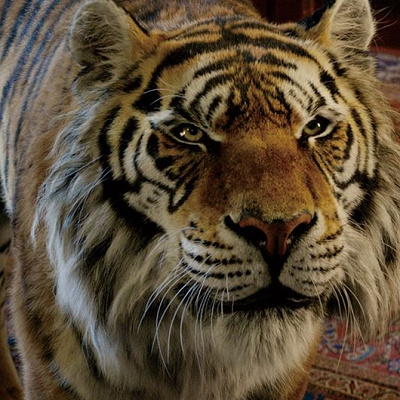 実写版『アラジン』のラジャー