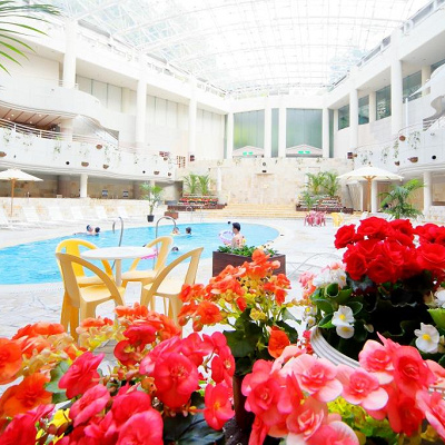 レオマの森のプール