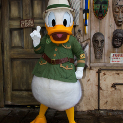 サファリ・ドナルド