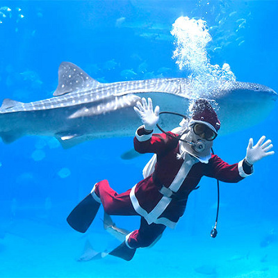 サンタの格好をした「サンタダイバー」