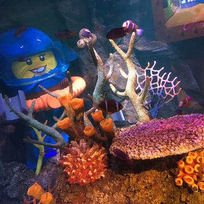 シーライフ名古屋