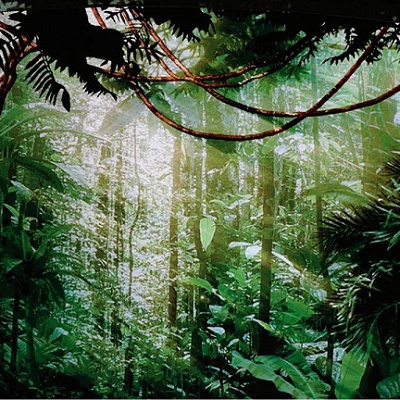 ステージのセット