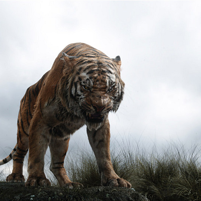 シアカーン実写