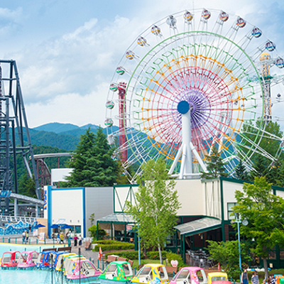 シャイニング・フラワー