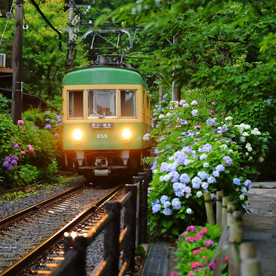 電鉄乗車券の提示で新江ノ島水族館の入場料が割引に