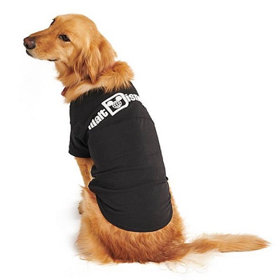 ペット用スピリットジャージー