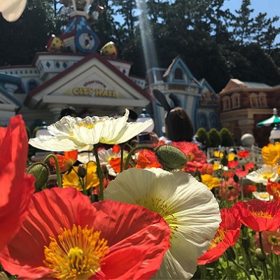 春のディズニー