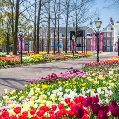 チューリップ祭の様子