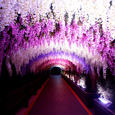 サマーランドのナイトプール・アクセス