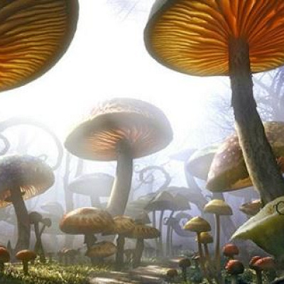 『アリス・イン・ワンダーランド』のあらすじ