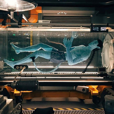 大人気の最新アトラクション「Avatar Flight of Passage」