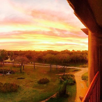 アニマルキングダムロッジから見た景色