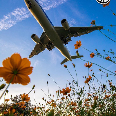 飛行機でパリまで