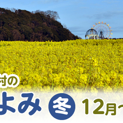 東京ドイツ村の花こよみ（冬）