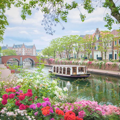 パッケージツアーがある旅行会社