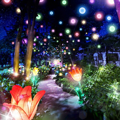 チューリップロード