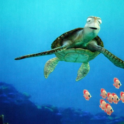 タートル・トーク