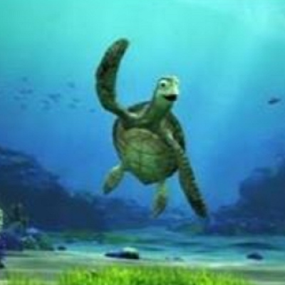 タートル・トーク