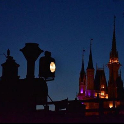 本物志向のディズニーならでは！