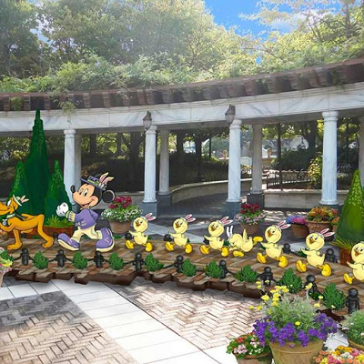 うさピヨのフォトロケーション