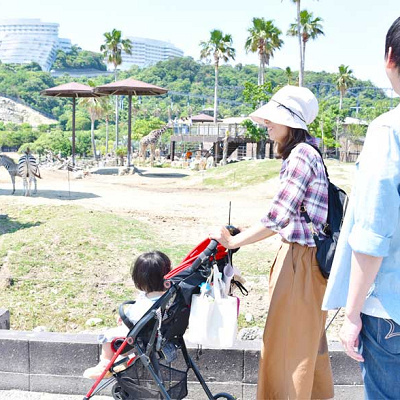 ウォーキングサファリ