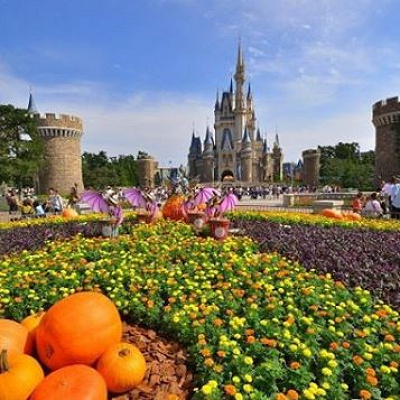 イベント時期の混雑回避に実施された？