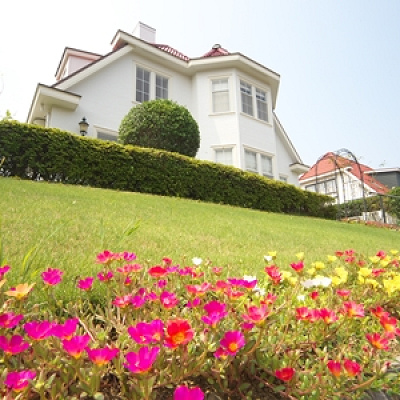 ワッセーナの花