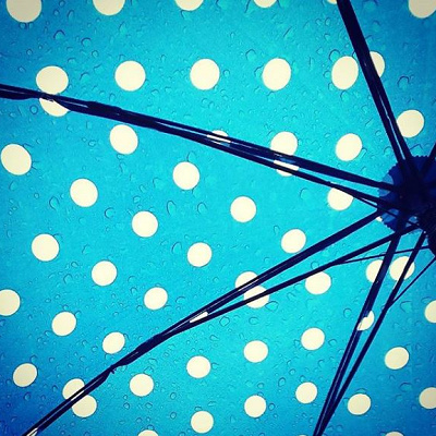 ショーが行われない日とは？