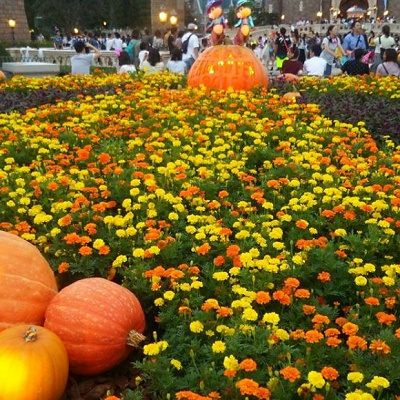 9月の混雑具合とは