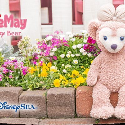 シェリーメイとは