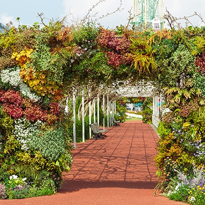 かしいかえんの跡地はどうなる？