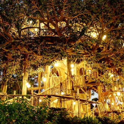 ライトアップされるとガラリと雰囲気を変える