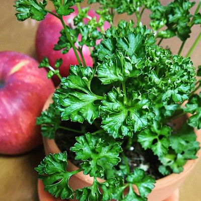 元ネタと違う部分はどこ？