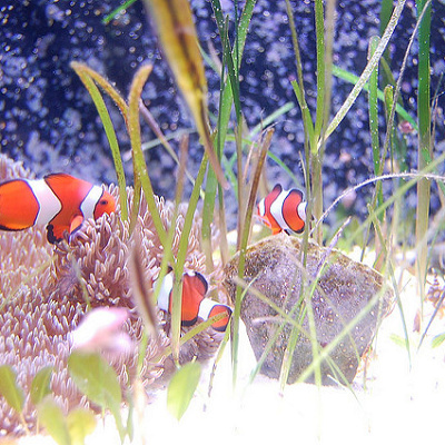 隠れキャラクターはどこに？