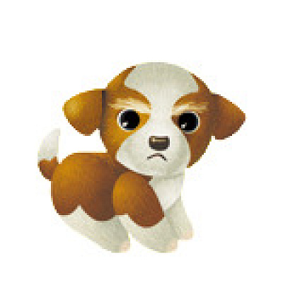 ウィスカーズ＆パウズ