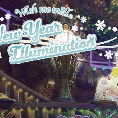 ウィッシュミーメルとイルミネーション