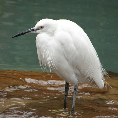 大阪の都会にいることを忘れてしまいそう！