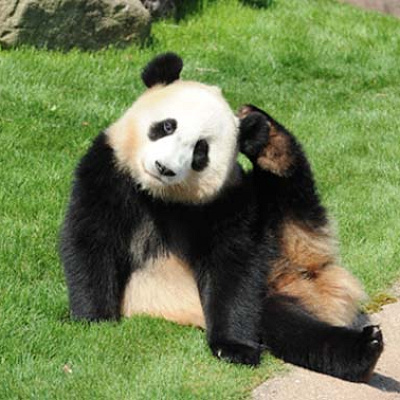 あたまをかく結浜