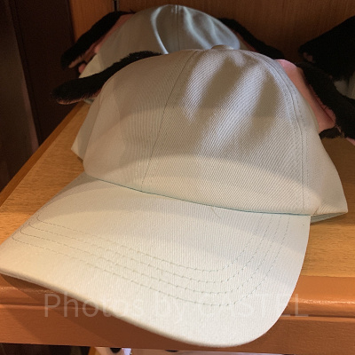 101匹わんちゃん耳付きキャップ（パステルグリーン）