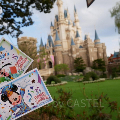 35周年の記念のパークチケット